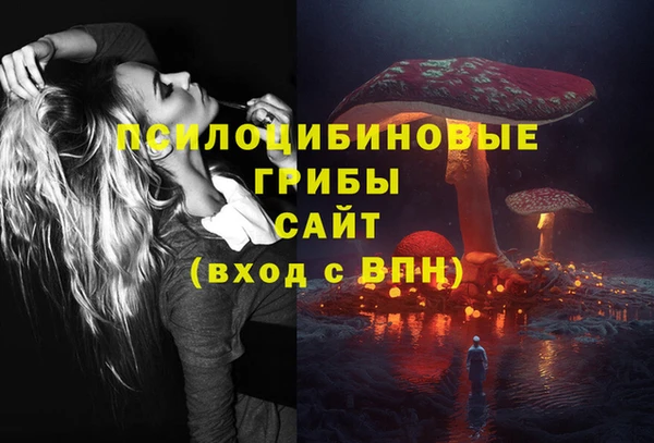 Альфа ПВП Алексин