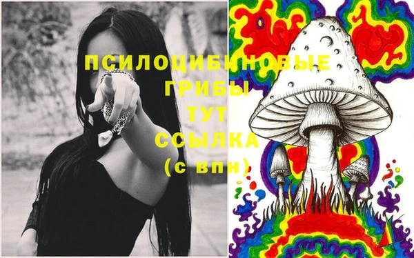 тгк Алексеевка
